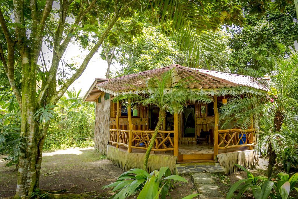 Hotel La Costa De Papito Puerto Viejo de Talamanca Cameră foto